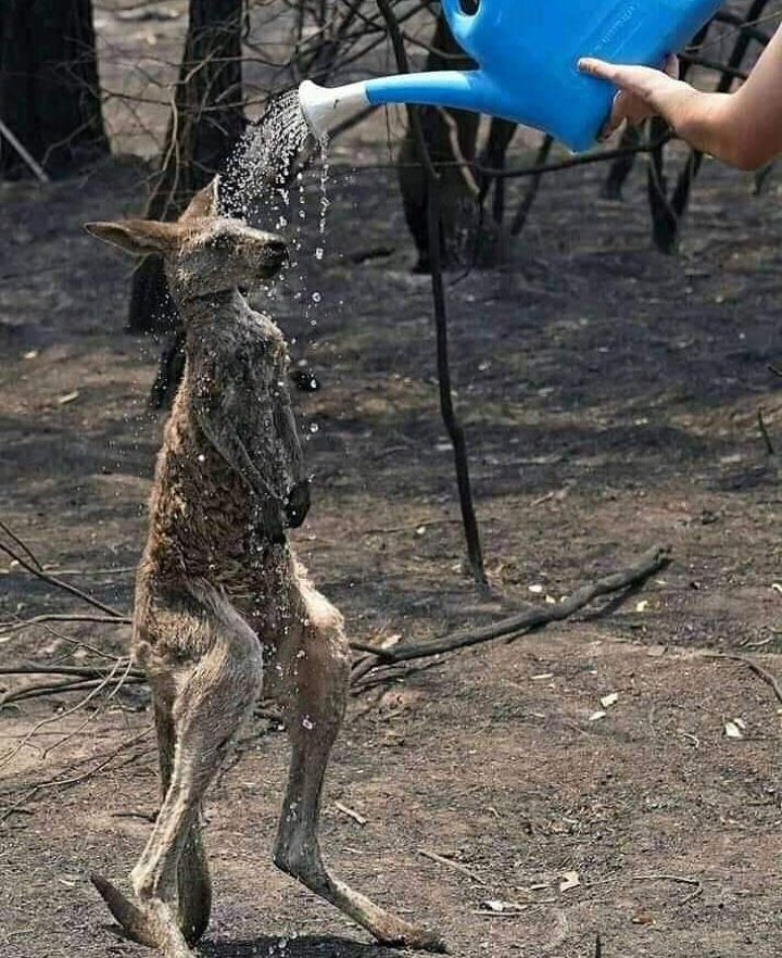 ENaVrADWkAAn6AB