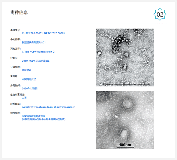 coronavirus micro2