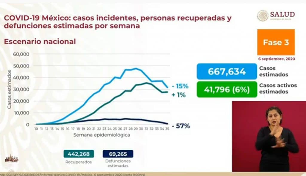grafica 4