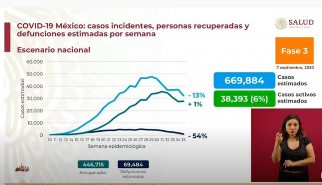 grafica 5