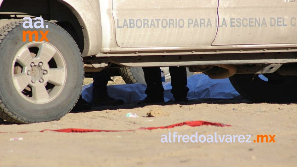 atropella 4