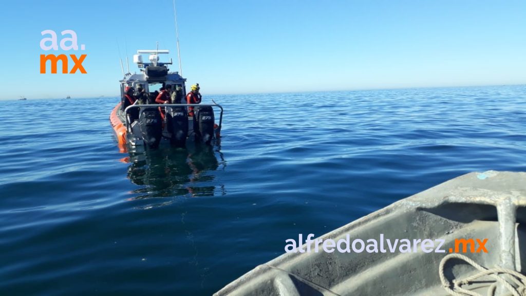 ballena 4