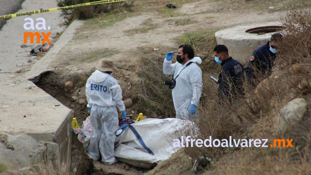 cadaver s
