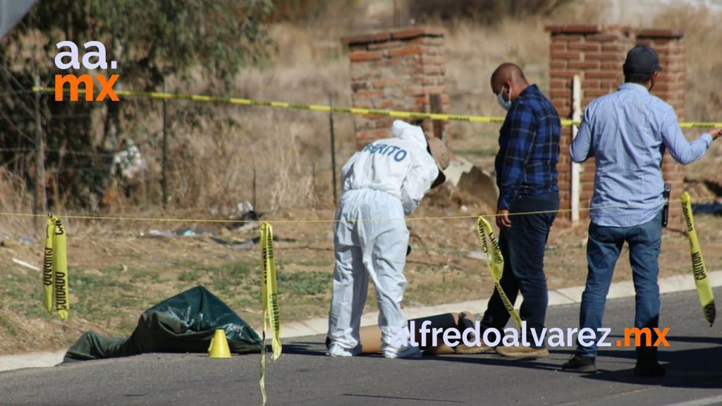 cadavers 10