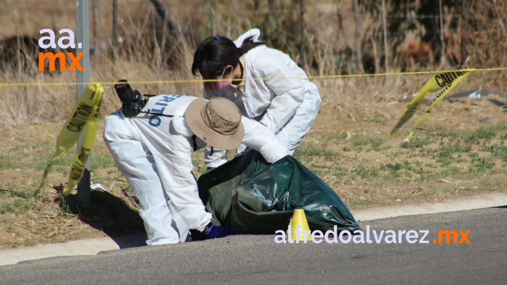 cadavers 11