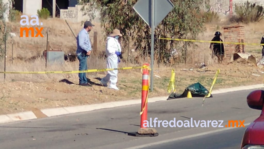 cadavers 8