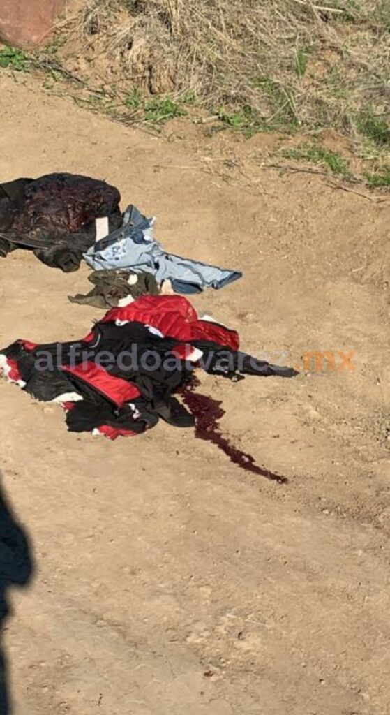 CAE BANDA DE HUACHICOLEROS EN TIJUANA CAE BANDA DE HUACHICOLEROS EN TIJUANA