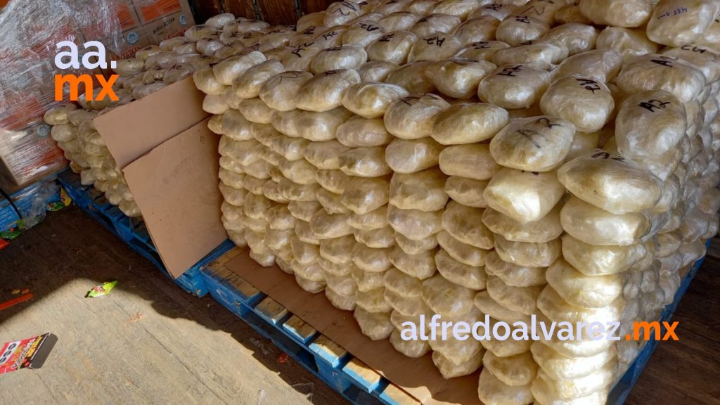 DETECTAN MáS DE 640 KG DE DROGA ENTRE PULPARINDOS
