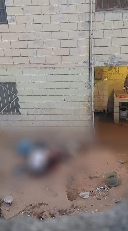 HASTA DOS AñOS PASARíA EN PRISIóN POR DESTAZAR PERROS