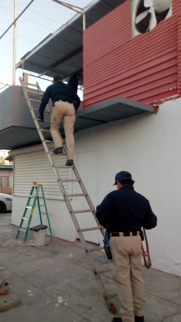 LOCALIZAN BODEGA DONDE DESMANTELABAN VEHíCULOS