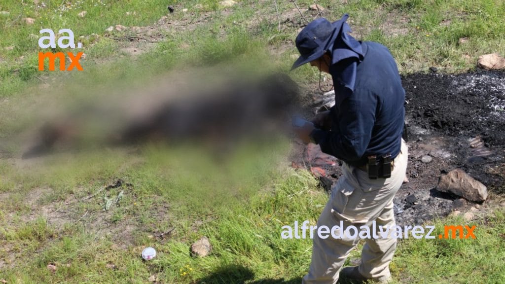 ENCUENTRAN CADáVER CARBONIZADO DE UNA MUJER