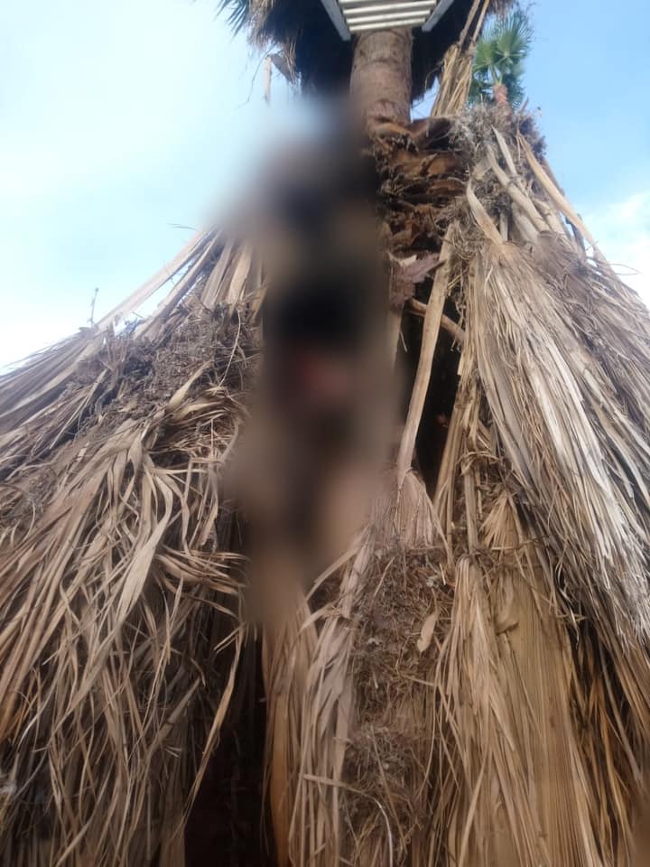 HOMBRE MUERE ASFIXIADO CUANDO PODABA UNA PALMA