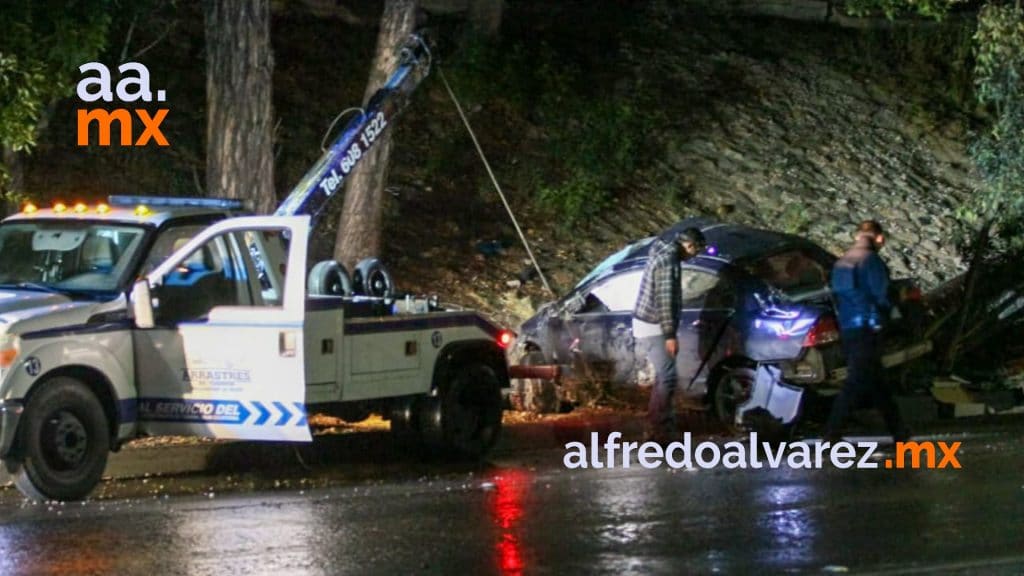 CHOCA CON UNA PALMERA Y VUELCA