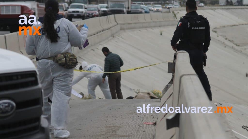 ABANDONAN CADáVER FEMENINO SEMICALCINADO