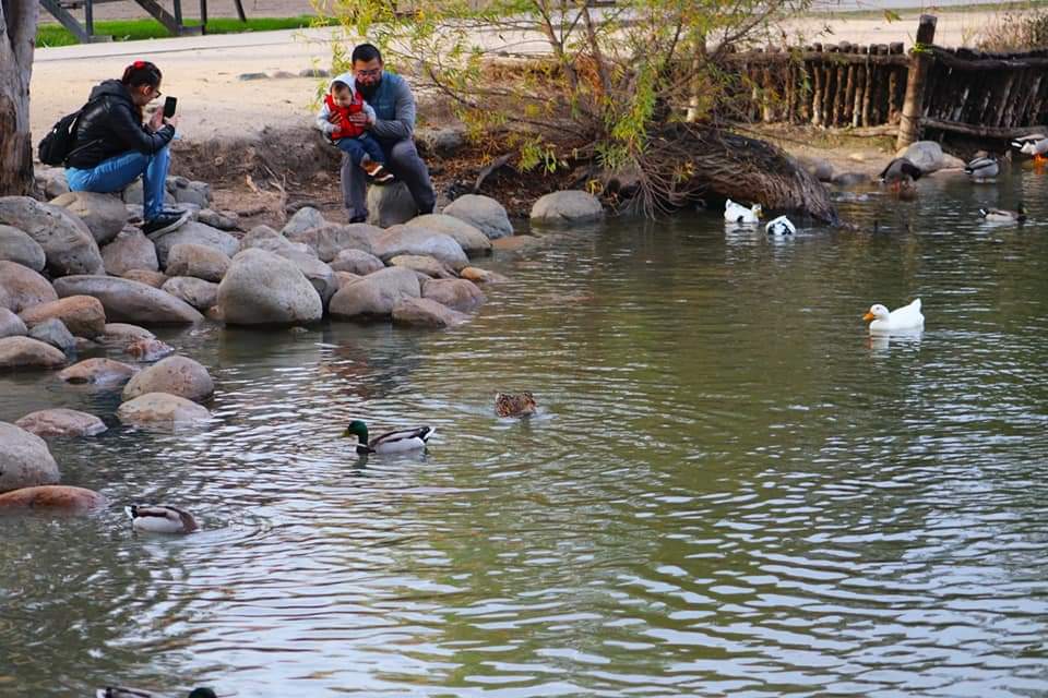 ALBERGA TIJUANA 209 PARQUES ATENDIDOS DE MANERA CONTINUA