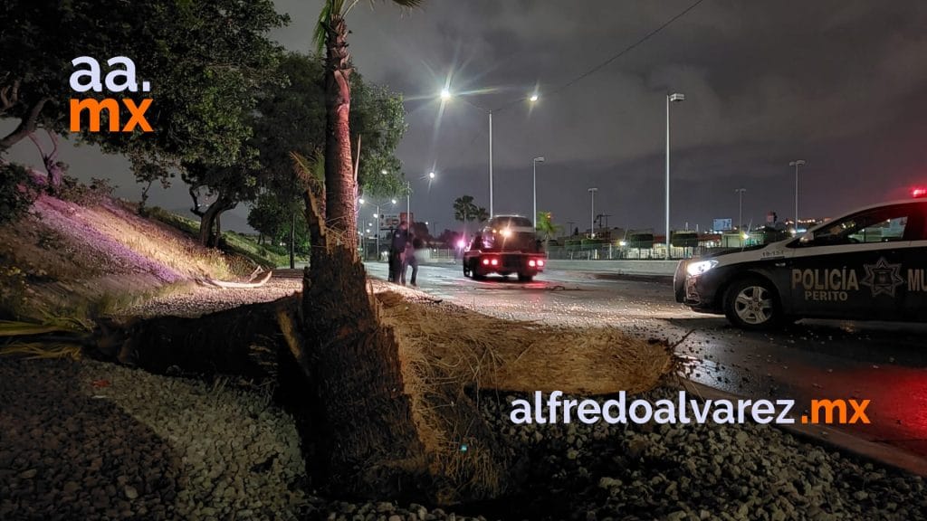PAREJA SE IMPACTA CONTRA UNA PALMA EN LA VíA RáPIDA