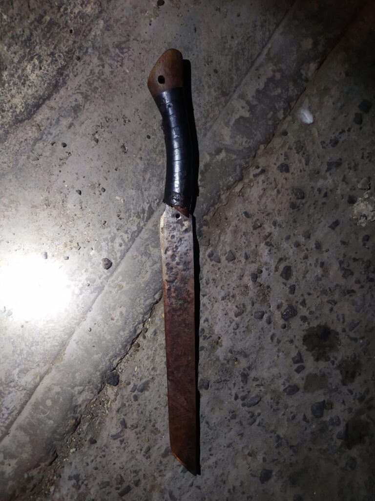 MATA A SU HERMANASTRO CON MACHETE MATA A SU HERMANASTRO CON MACHETE