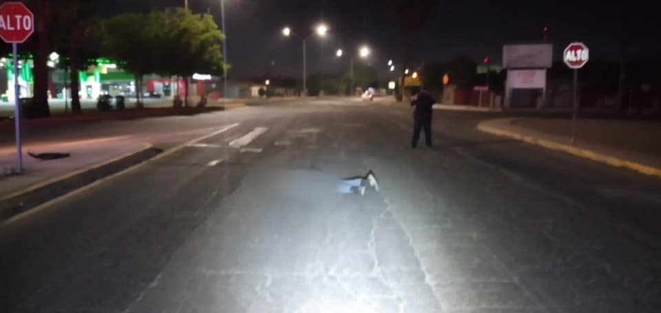 EN ATROPELLAMIENTO LE DESTROZAN LA CABEZA