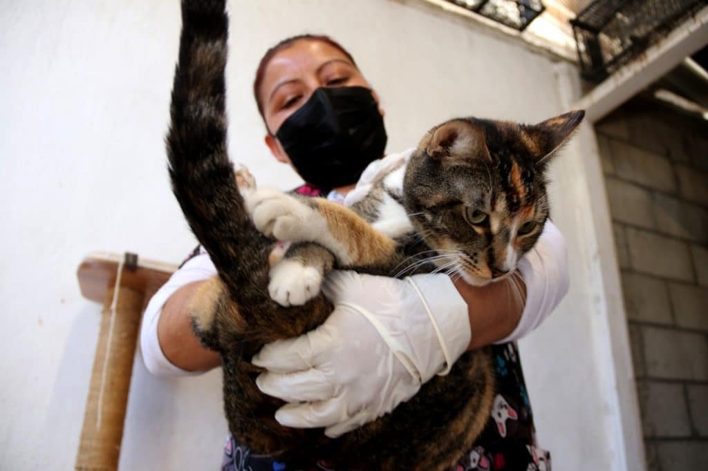 VOLUNTARIADO DE CONTROL ANIMAL AGRADECE DONACIONES EN ESPECIE