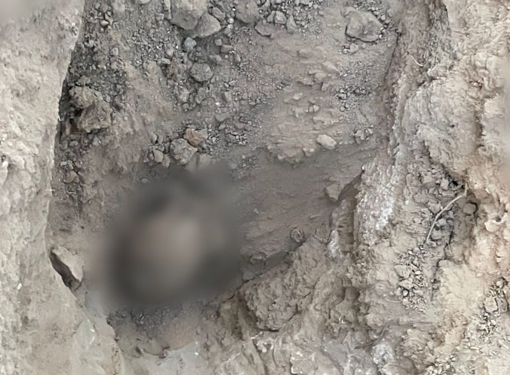 HALLAN TRES CADáVERES EN EJIDO DE MEXICALI HALLAN TRES CADáVERES EN EJIDO DE MEXICALI