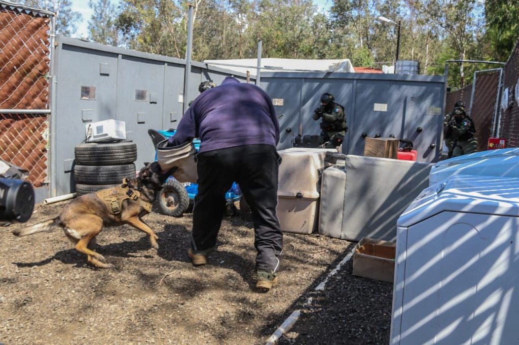 K-9 EL COMPLEMENTO DE LOS OFICIALES DE POLICíA