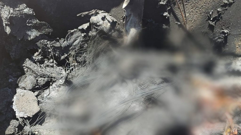 REVELAN CAUSA DE MUERTE DE LA PERSONA HALLADA EN UN REFRIGERADOR REVELAN CAUSA DE MUERTE DE LA PERSONA HALLADA EN UN REFRIGERADOR