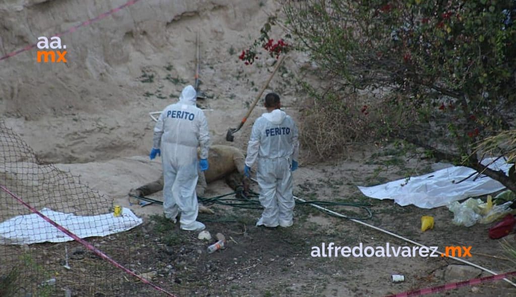 HALLAN FOSA CLANDESTINA EN PREDIO ABANDONADO