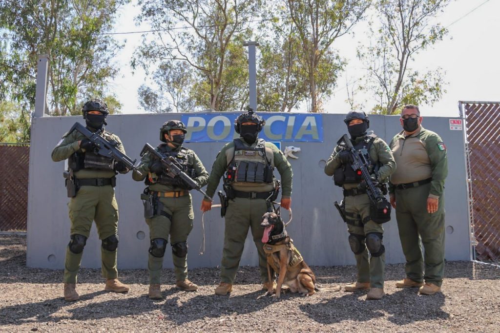 K-9 EL COMPLEMENTO DE LOS OFICIALES DE POLICíA