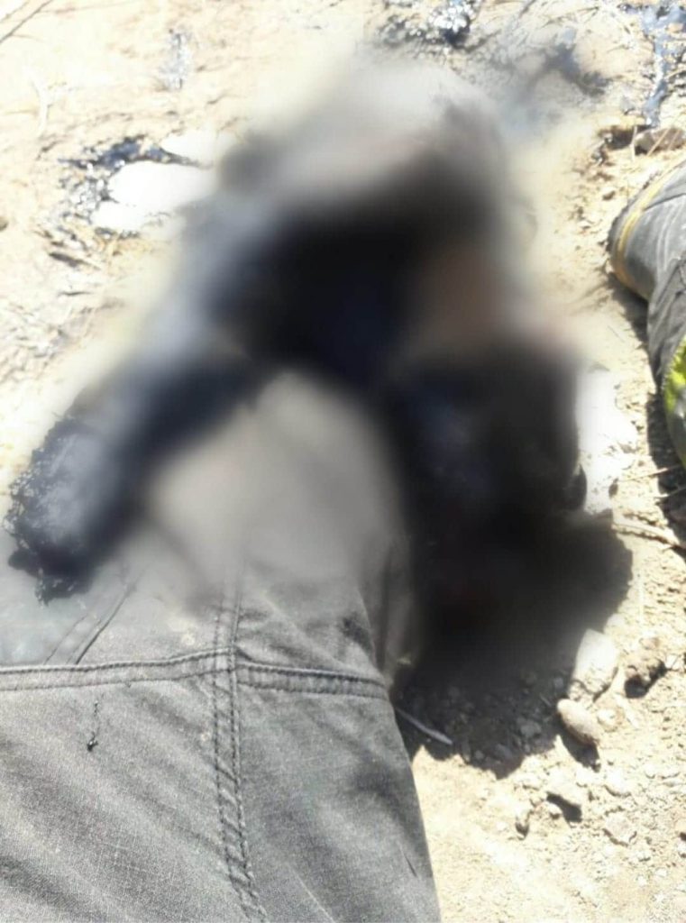 RESCATAN A PERRITO QUE CAYó EN FOSA DE CHAPOPOTE