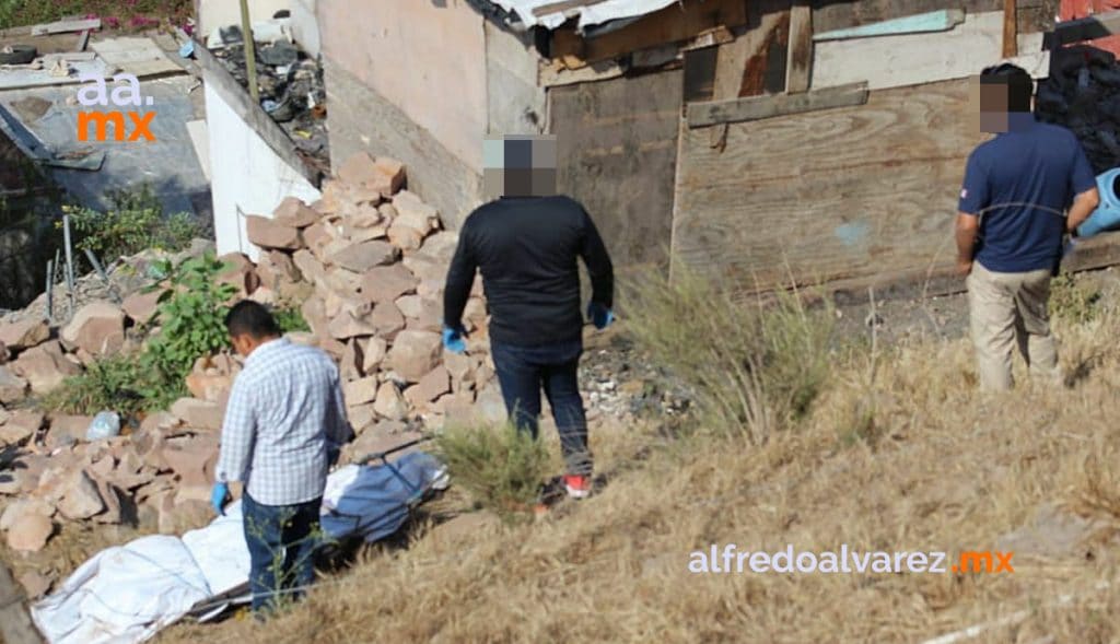 7 ASESINADOS A BALAZOS Y UNA LESIONADA