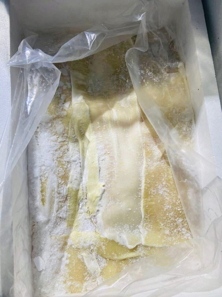 DECOMISAN BUCHES DE TOTOABA; DAN PRISIóN PREVENTIVA A 3 SUJETOS