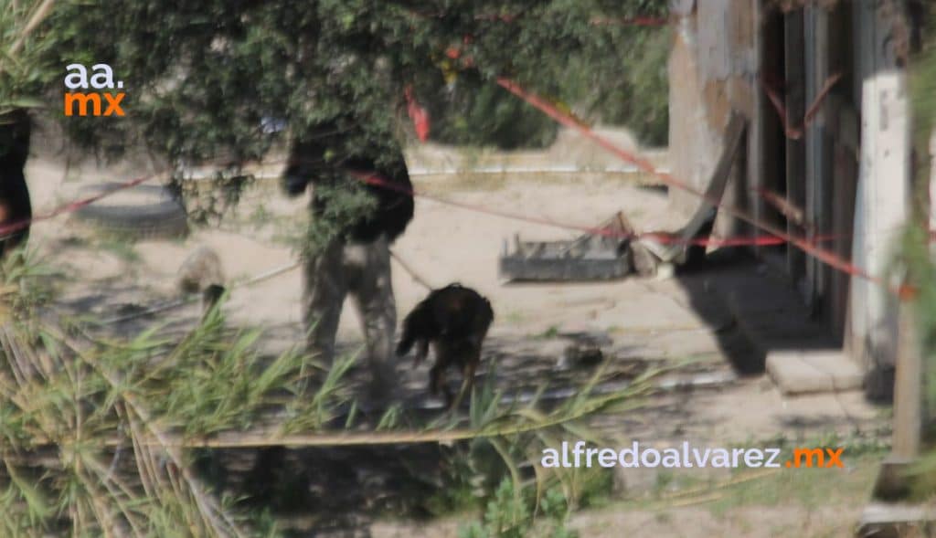 REANUDAN LA BúSQUEDA DE CADáVERES EN FOSA CLANDESTINA