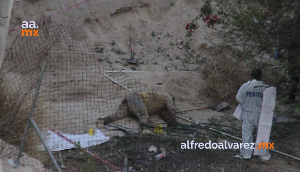 HALLAN FOSA CLANDESTINA EN PREDIO ABANDONADO