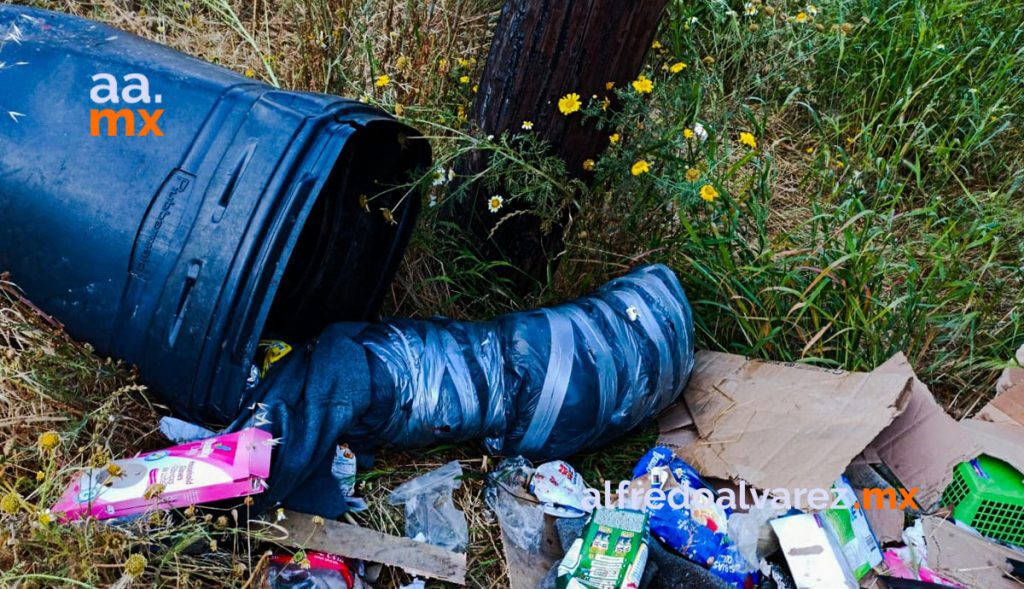 DEJAN CABEZA HUMANA EN PARQUE; MATAN A 5, UNA MUJER ENTRE VíCTIMAS