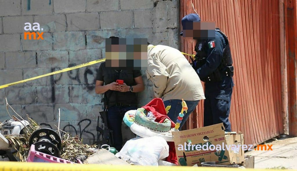 SEIS ASESINADOS, A UNO LO DEJAN SEMICALCINADO