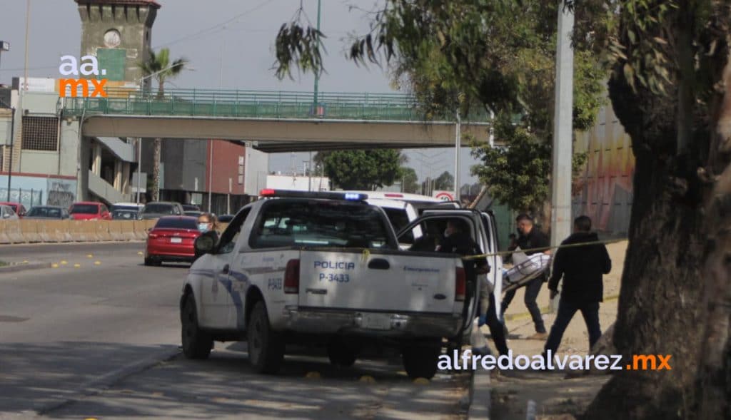 SEIS ASESINADOS, A UNO LO DEJAN SEMICALCINADO
