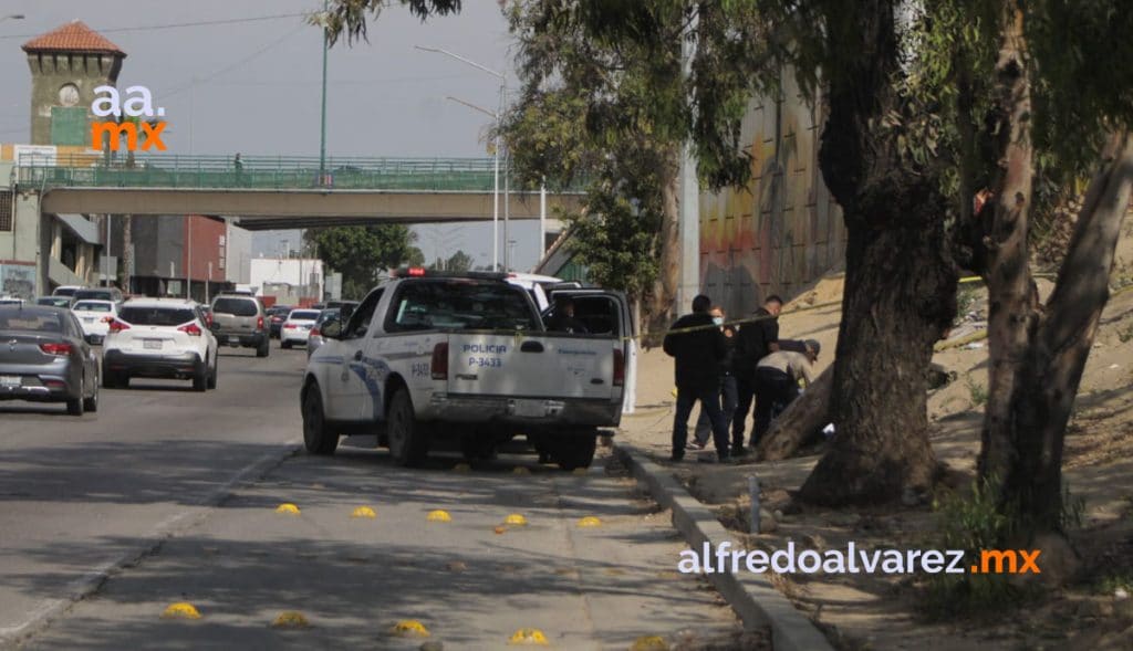 SEIS ASESINADOS, A UNO LO DEJAN SEMICALCINADO