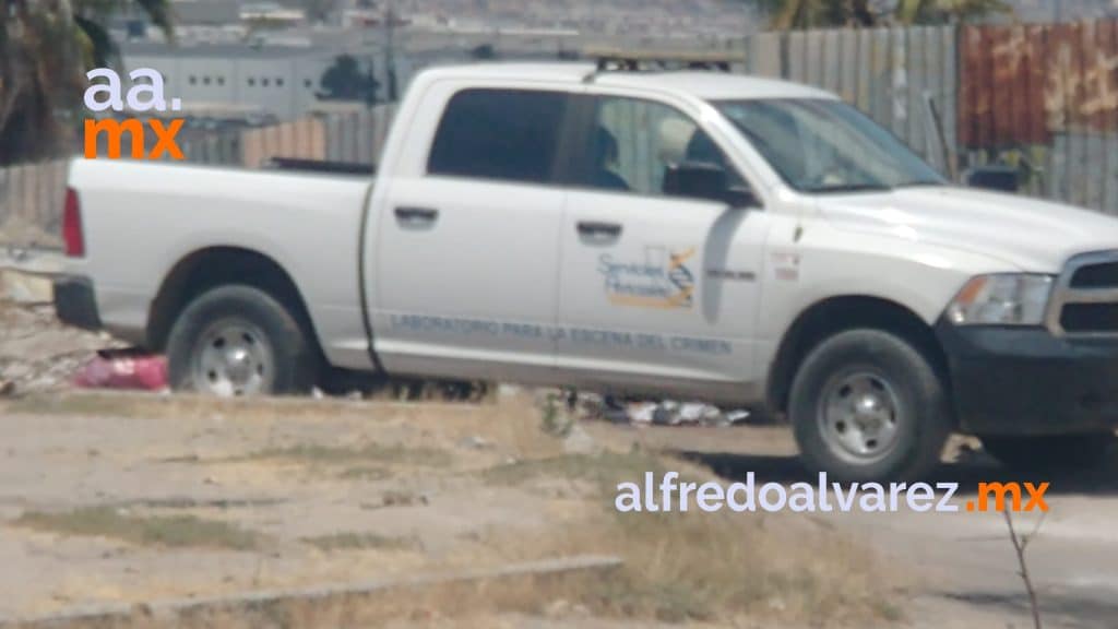 ENVUELVEN CADáVERES EN PLáSTICO Y LOCALIZAN UN CALCINADO
