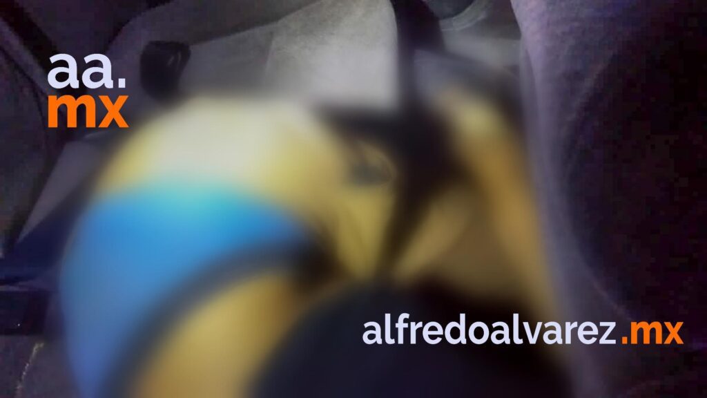 7 ASESINADOS, A UNO LO CALCINAN Y UNA VíCTIMA ES MUJER 7 ASESINADOS, A UNO LO CALCINAN Y UNA VíCTIMA ES MUJER