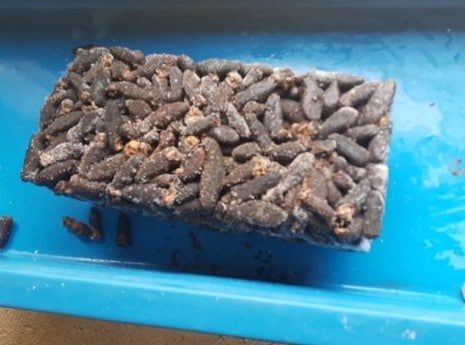 CONFISCAN MáS DE UNA TONELADA DE PRODUCTOS PESQUEROS
