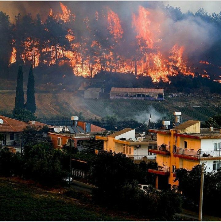 INCENDIOS EN TURQUíA, DEJAN 4 MUERTOS INCENDIOS EN TURQUíA, DEJAN 4 MUERTOS
