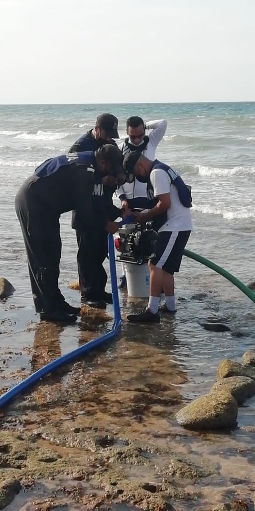ENCUENTRAN BALLENA ENCALLADA EN PEñASCO
