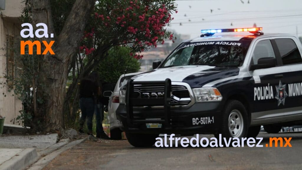 LOCALIZAN CADáVER TIRADO EN PATIO DE UNA VIVIENDA