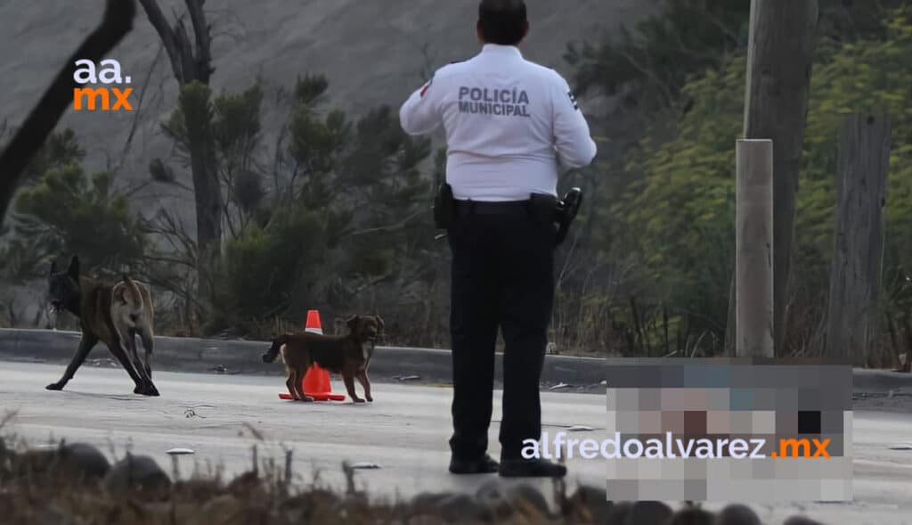 FALLECE ATROPELLADA EN CONDICIóN DE CALLE