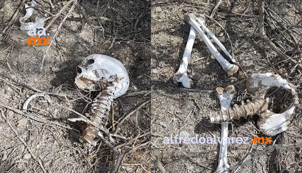 LO ASESINAN A TUBAZOS EN SU VIVIENDA