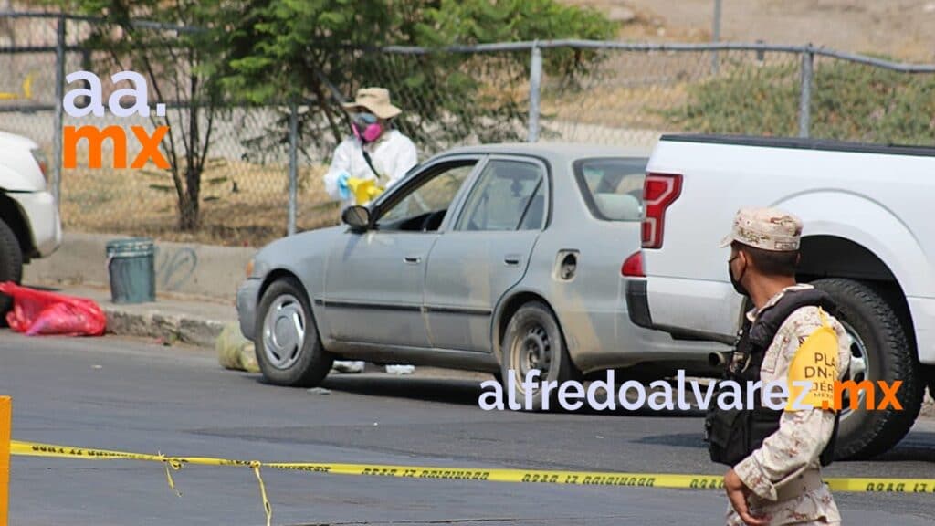 ESPARCEN RESTOS HUMANOS Y NARCOMANTAS EN COLONIA