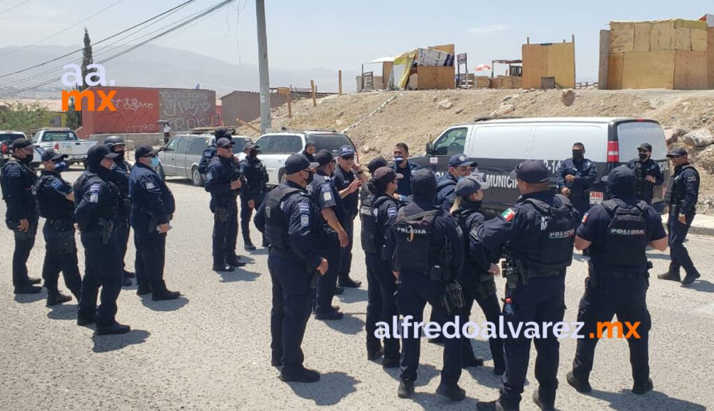 DESALOJAN A INVASORES DEL CERRO DE LAS ABEJAS