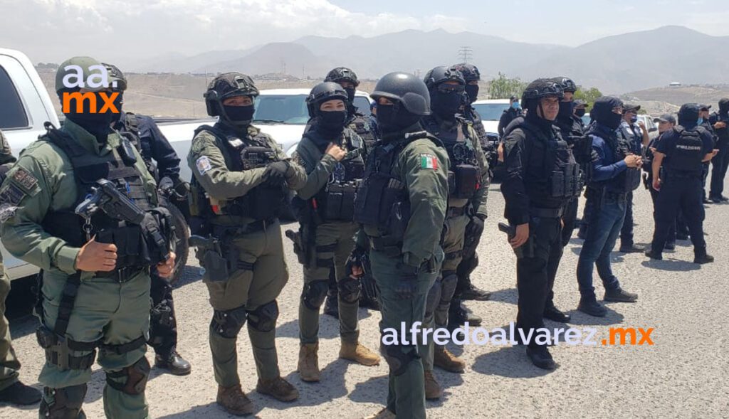 DESALOJAN A INVASORES DEL CERRO DE LAS ABEJAS