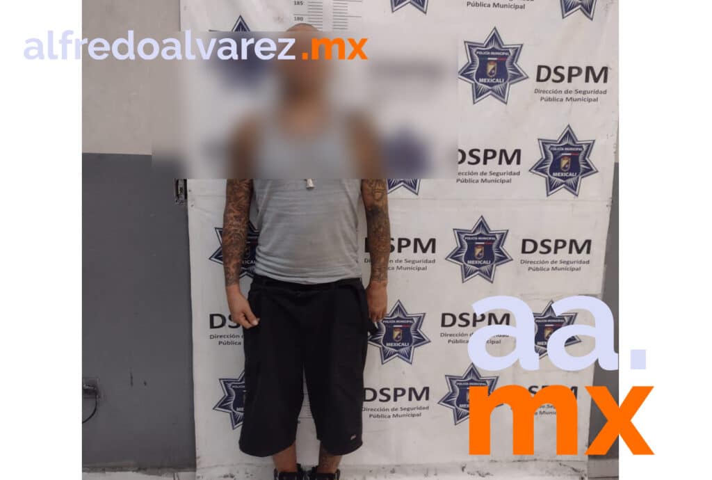 DETENIDOS POR PORTACIóN DE ARMAS Y CARTUCHOS