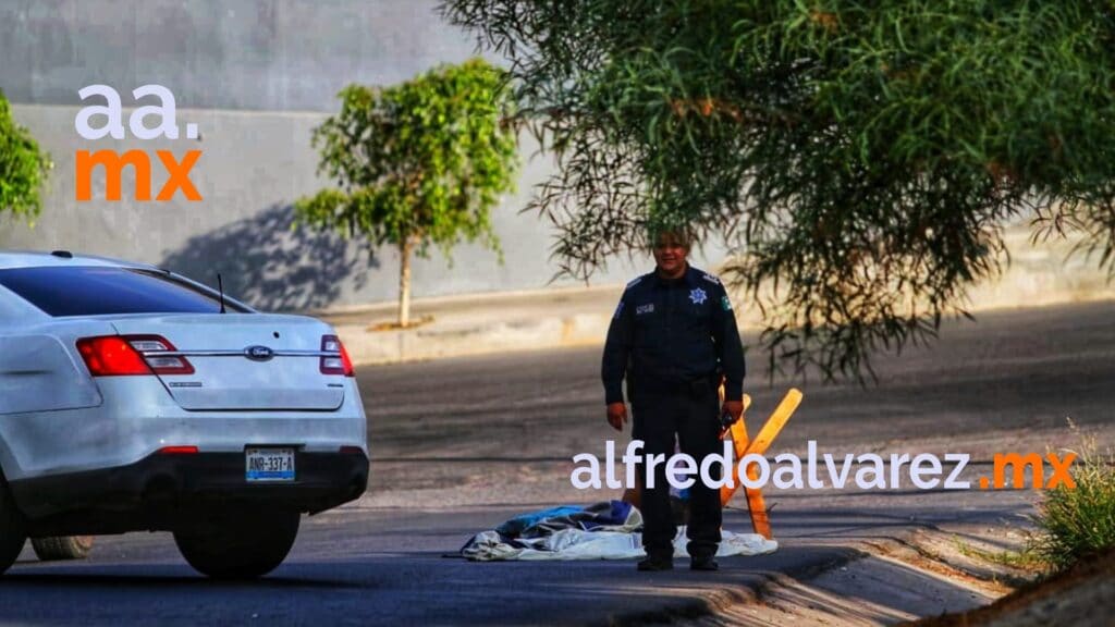 DEJAN CATRE CON CADáVER DESCUARTIZADO CERCA DE PARQUE